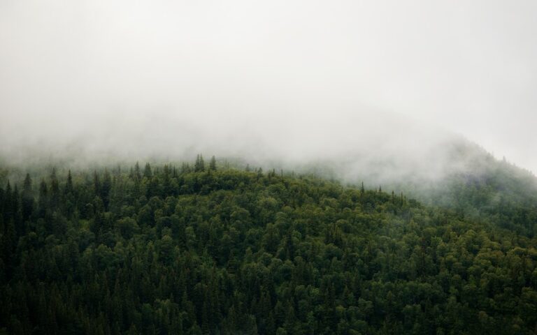 Naturvern i Norge: Bevare vår unike natur for fremtidige generasjoner