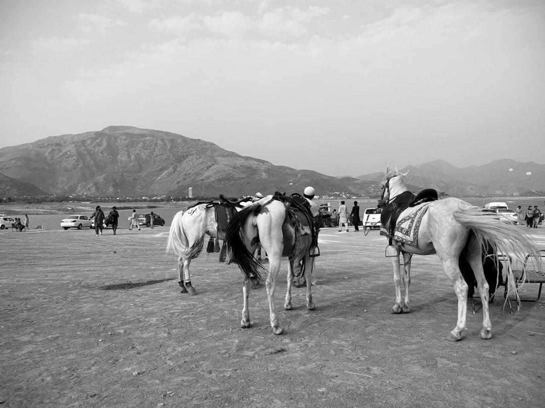 Opplevelsesreiser: En Guide til Uforglemmelige Eventyr